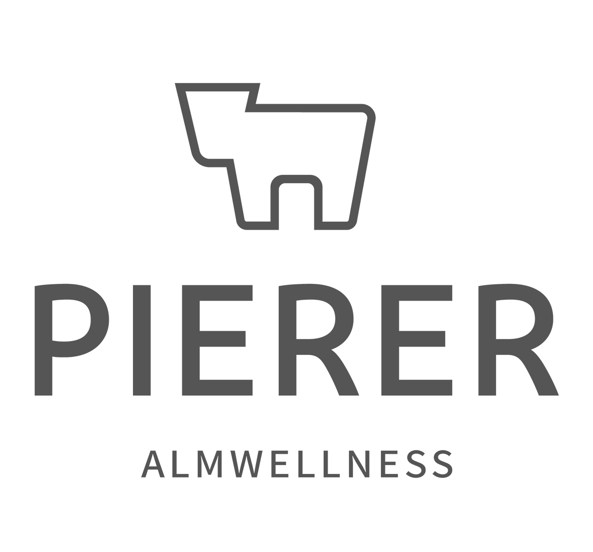 PIERER_Logo_2022_Grau_RGB